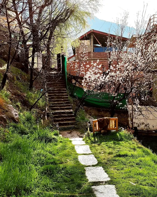 The Culture Nation Hostel Manali