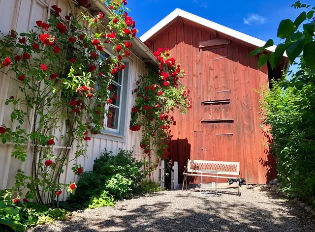 Pensionat Gyllenhjelmsgatan