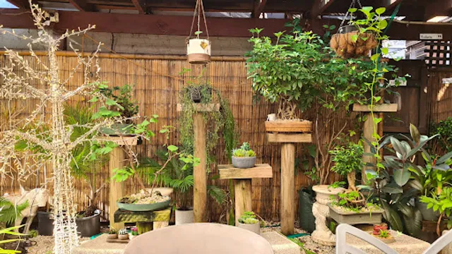 Provence Garden Cafe Eastwood