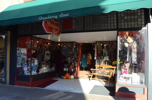 Strawberry Lane