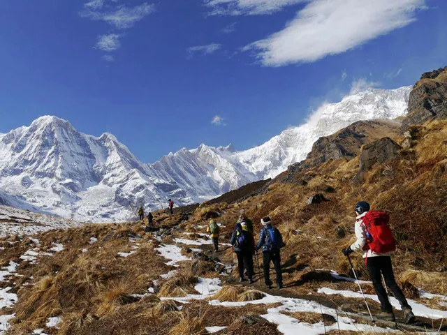 Discovery World Trekking