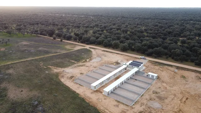 Mascoteka. Residencia canina.