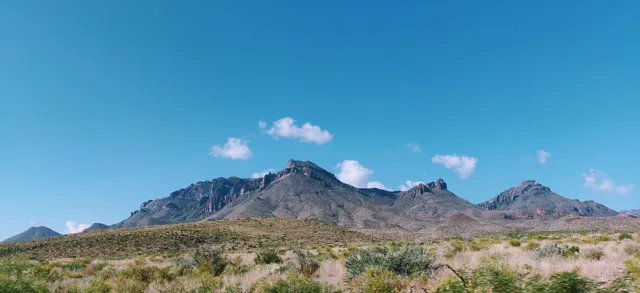 Dog Cholla Trailhead