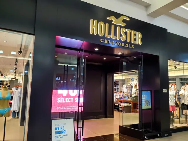 Hollister Co.