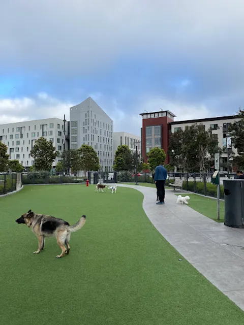 Channel Street Dog Park