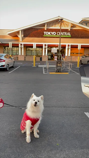 Tokyo Central Yorba Linda