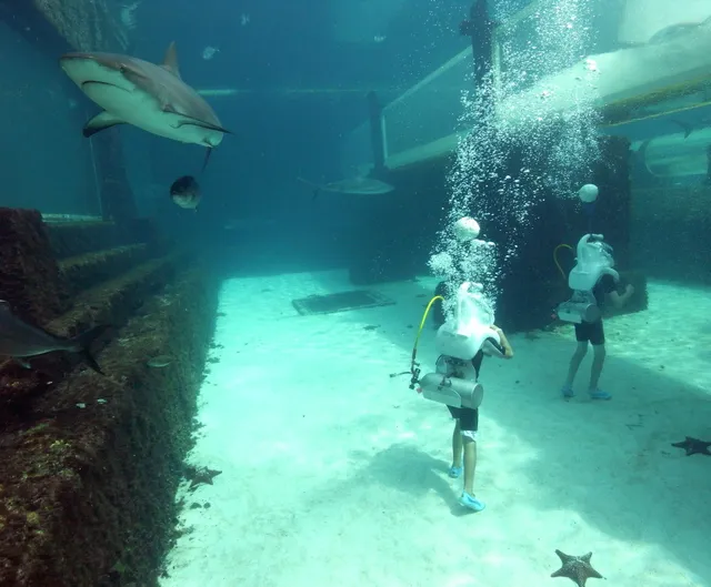 Sea Trek Helmet Diving