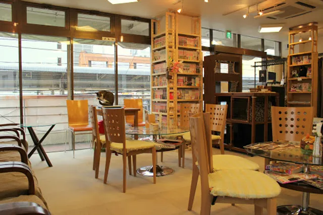 Cat Cafe Neko-no-mise