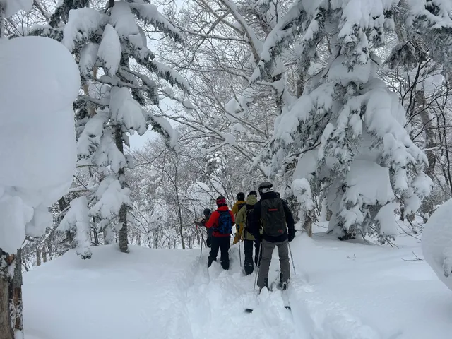Japan Ski Tours