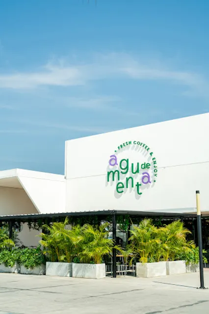 Agua de Menta 🌿 Cafetería