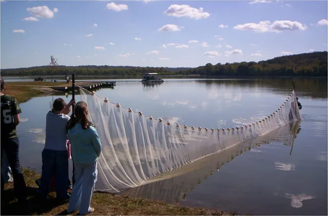 Brandon Spring Group Center