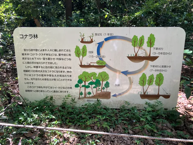 photo-1