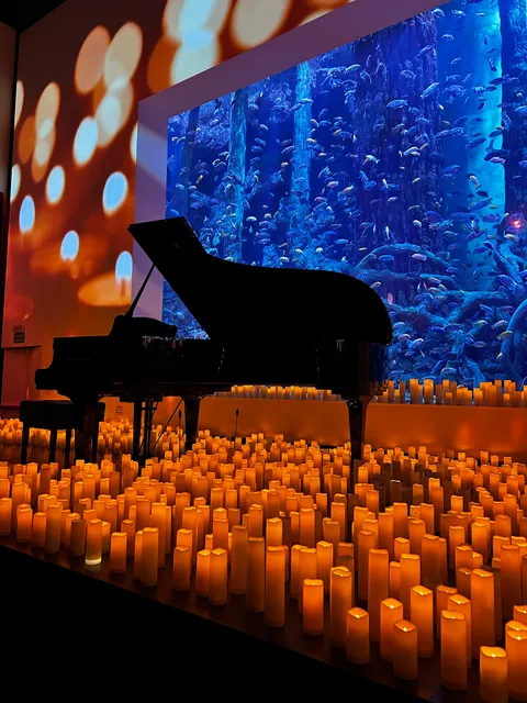 Global Omnium Auditorio