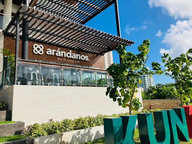 Arándanos The fit bowl cafe
