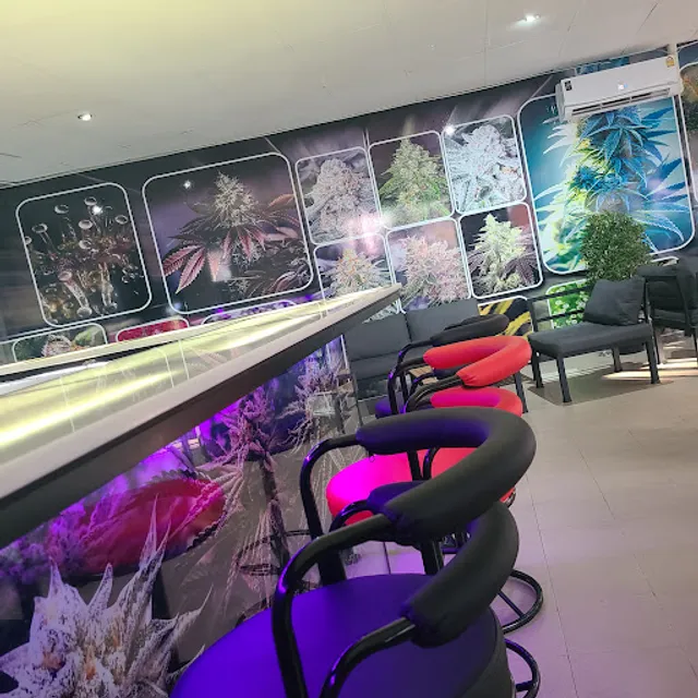 Dank Pizza, Taco & Herb Cafe