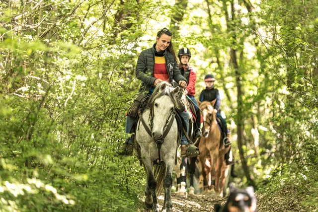 Gite Equestrian Ranch du Bel Air