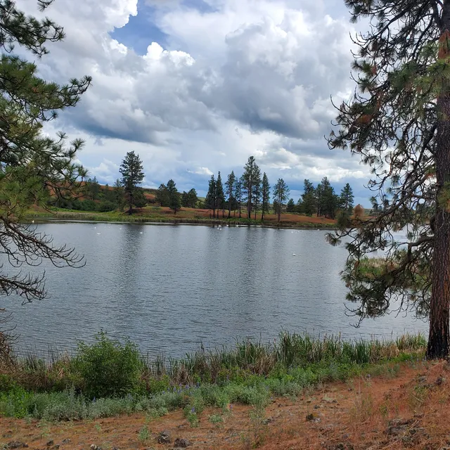 Fishtrap Lake South Loop Trailhead