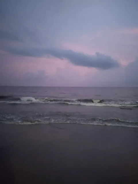 The Clam Multi-Cuisine Restaurant