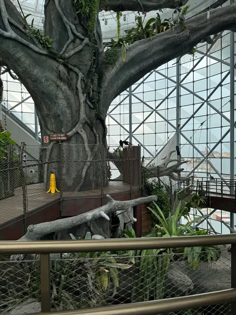photo-2