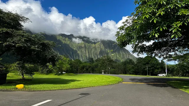 Kahua Nui-Makai (Ho'omaluhia) Campsites