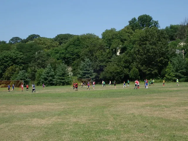 Alley Athletic Playground
