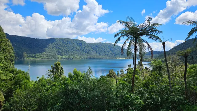 Lake Tikitapu (Blue Lake)