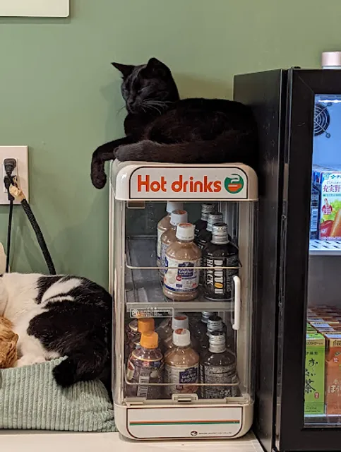 Capy Neko Cafe Kichijoji