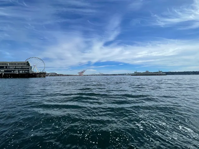 Floating Dock at Pier 62