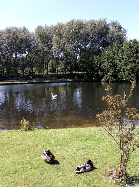 Haus Inselkieker Norderney