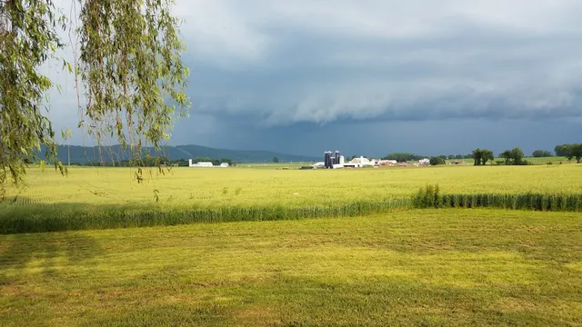 Prout's Jollyview FarmMarket