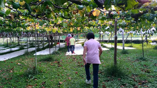 Shigenobu Yoneyama Farm