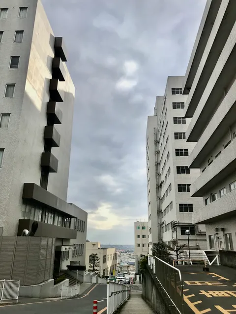 Saitama Medical University Moroyama Campus