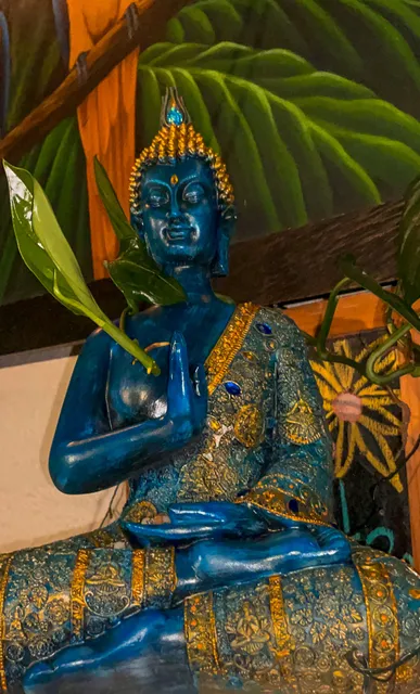 Pandora's House Coliving