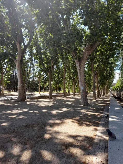 Arboleda del Parque de la Arganzuela