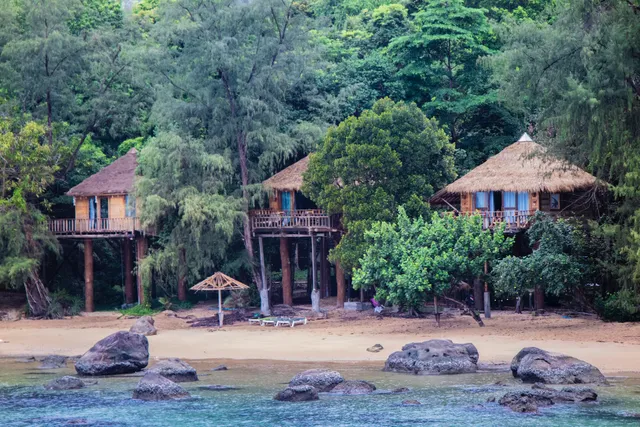 Tree House Bungalows