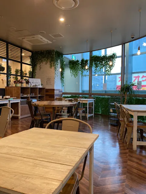 Fluffy Pancakes & Café Oyama Roble