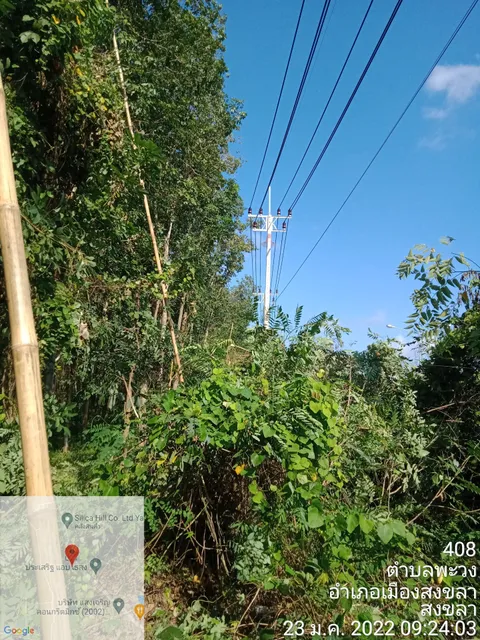 เรือนปั้นหยา แมนชั่น