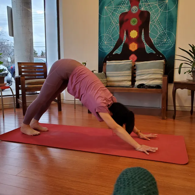 Hot Yoga Wellness Kennedy