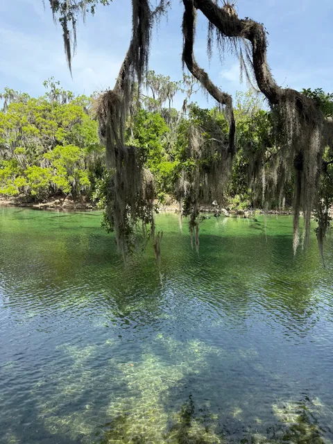 Blue Spring Adventures