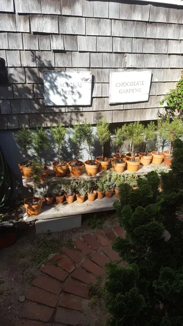 Enchanted Chocolates