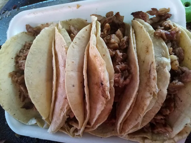 Tacos masecas