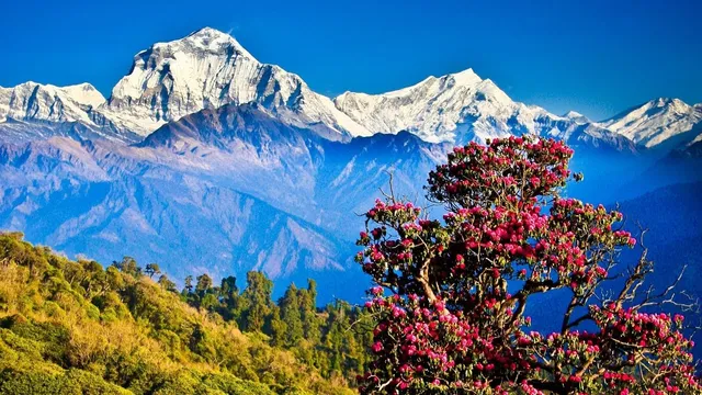 Annapurna Mountain Treks
