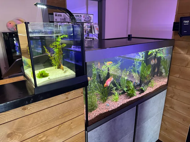 FINS Freshwater Aquariums