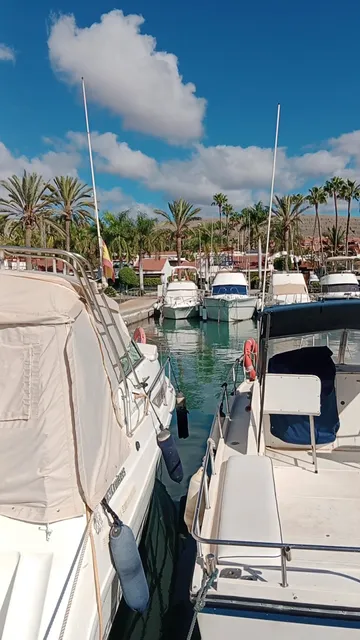 Camping de Pasito Blanco