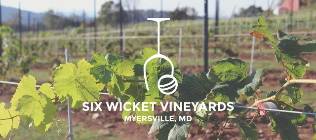 Six Wicket Vineyards