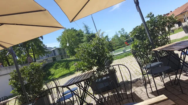 Zenzero Drink & Shop - Segrate