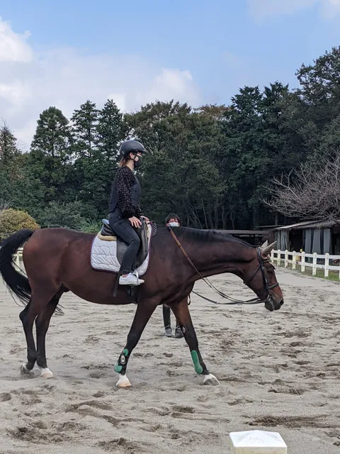 Ever Green Horse Garden