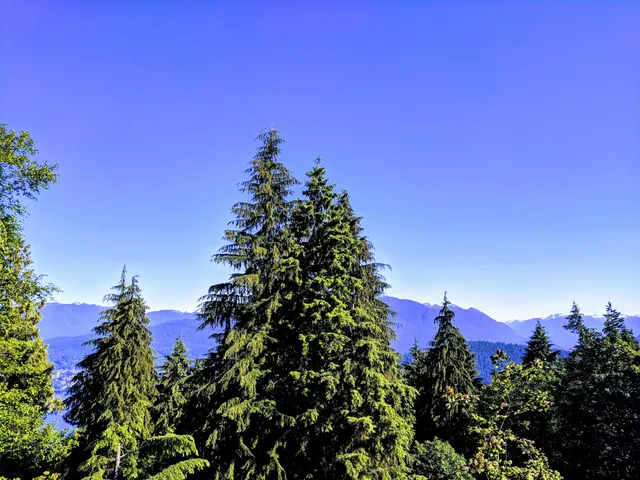 Diamond Alumni Centre