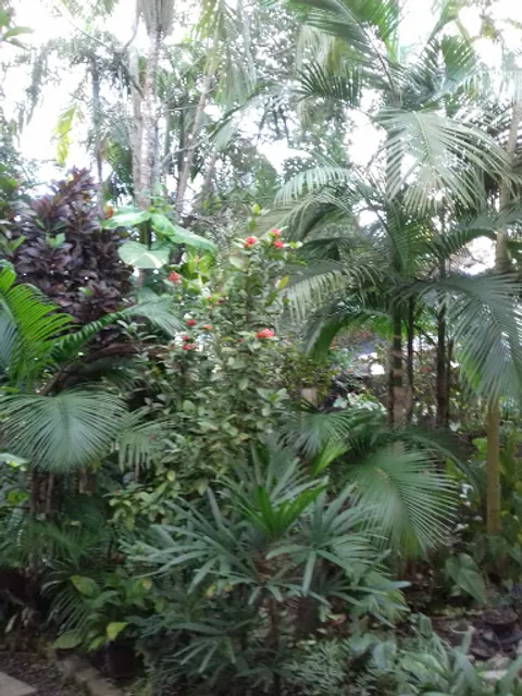 Lanchonete Schenatto