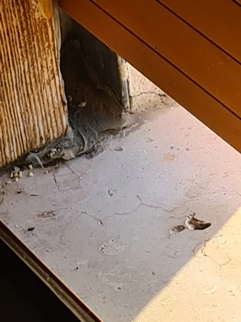 photo-1